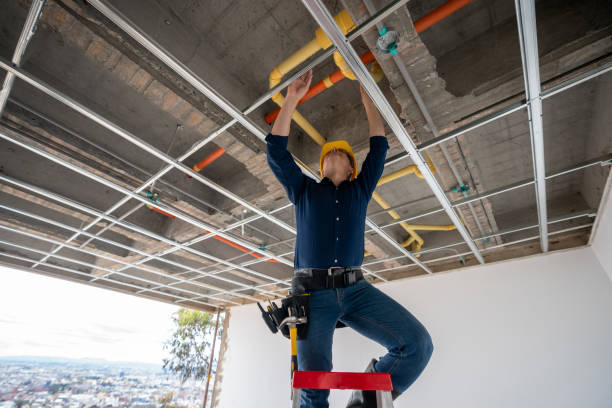 Best Best Plumbers Near Me  in Edgewood, FL
