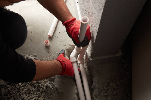 Best Plumbing Inspection Services  in Edgewood, FL