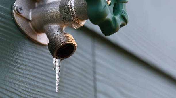 Best Pipe Repair Near Me  in Edgewood, FL